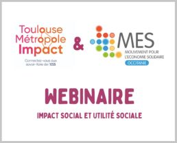 Webinaire organisé par Toulouse Métropole Impact et MES Occitanie