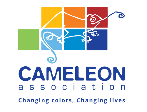 logo association caméléon : changing colors, changing lives